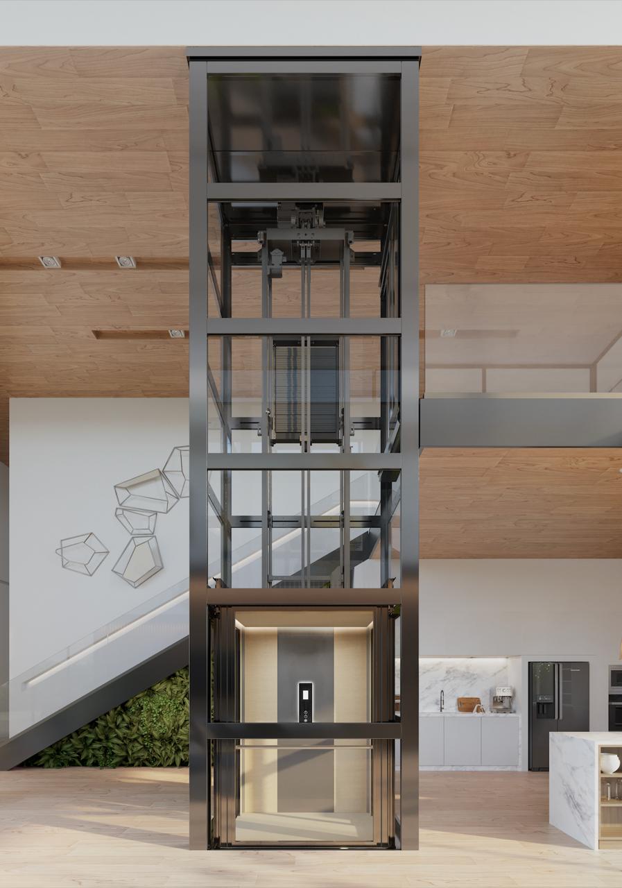 Modern homelift installation